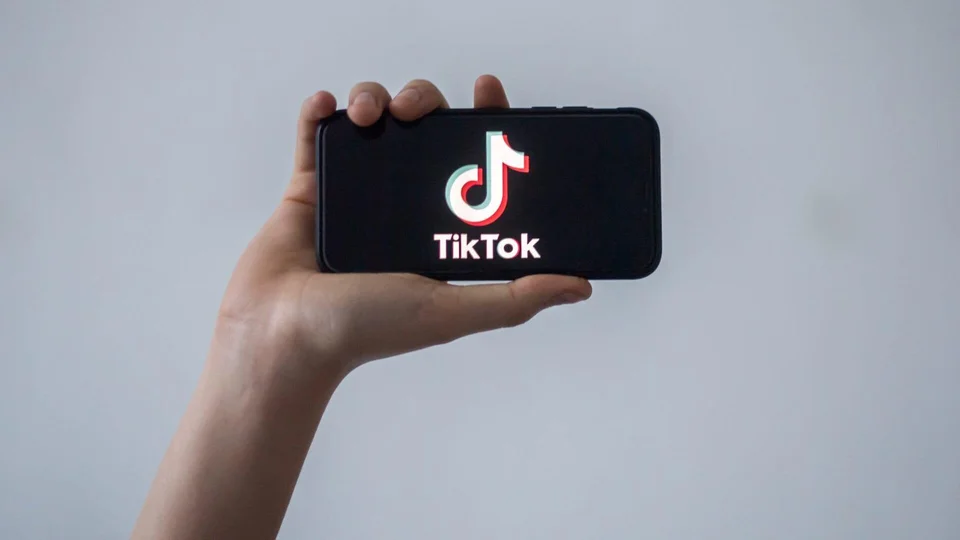 დიდი აუდიტორიის მქონე TikTok-ერებს ალიევის რეჟიმი საფრთხედ მიიჩნევს – Meydan.tv